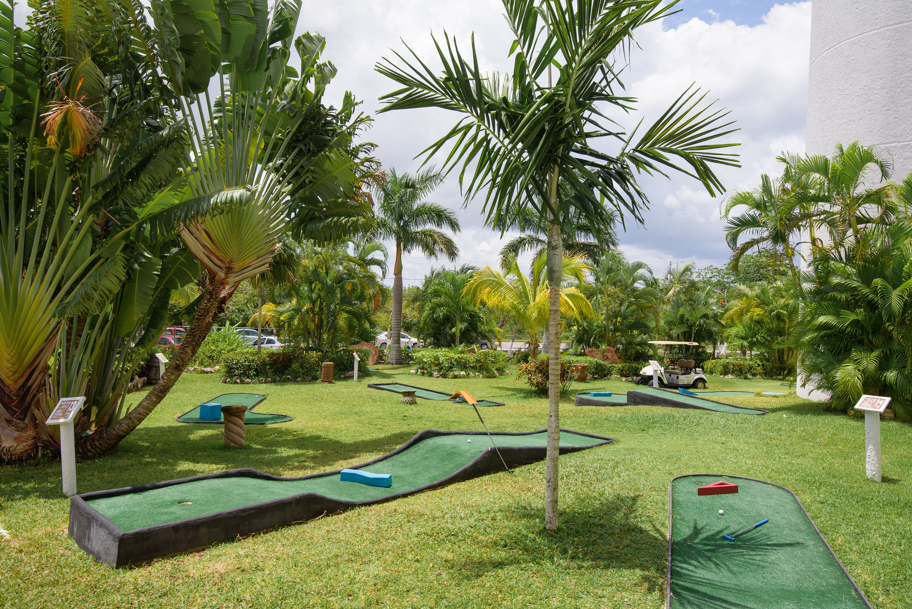 a golf course with palm trees