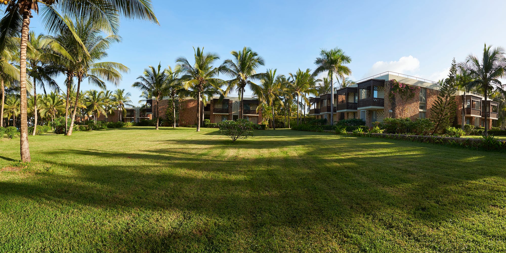 a grass field with palm trees and buildings in the background