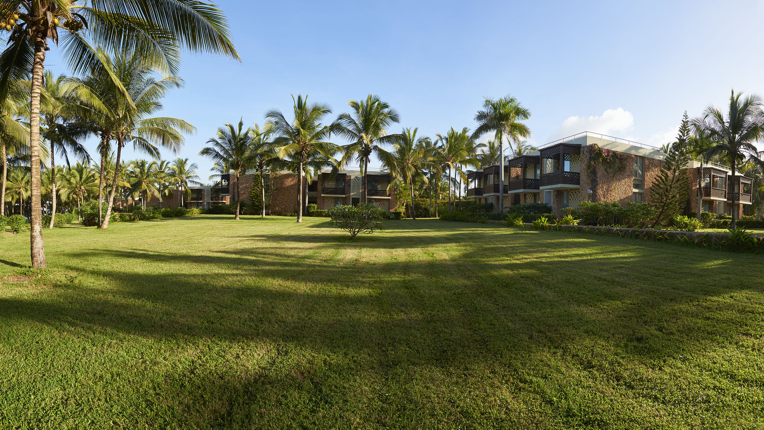 a grass field with palm trees and buildings in the background