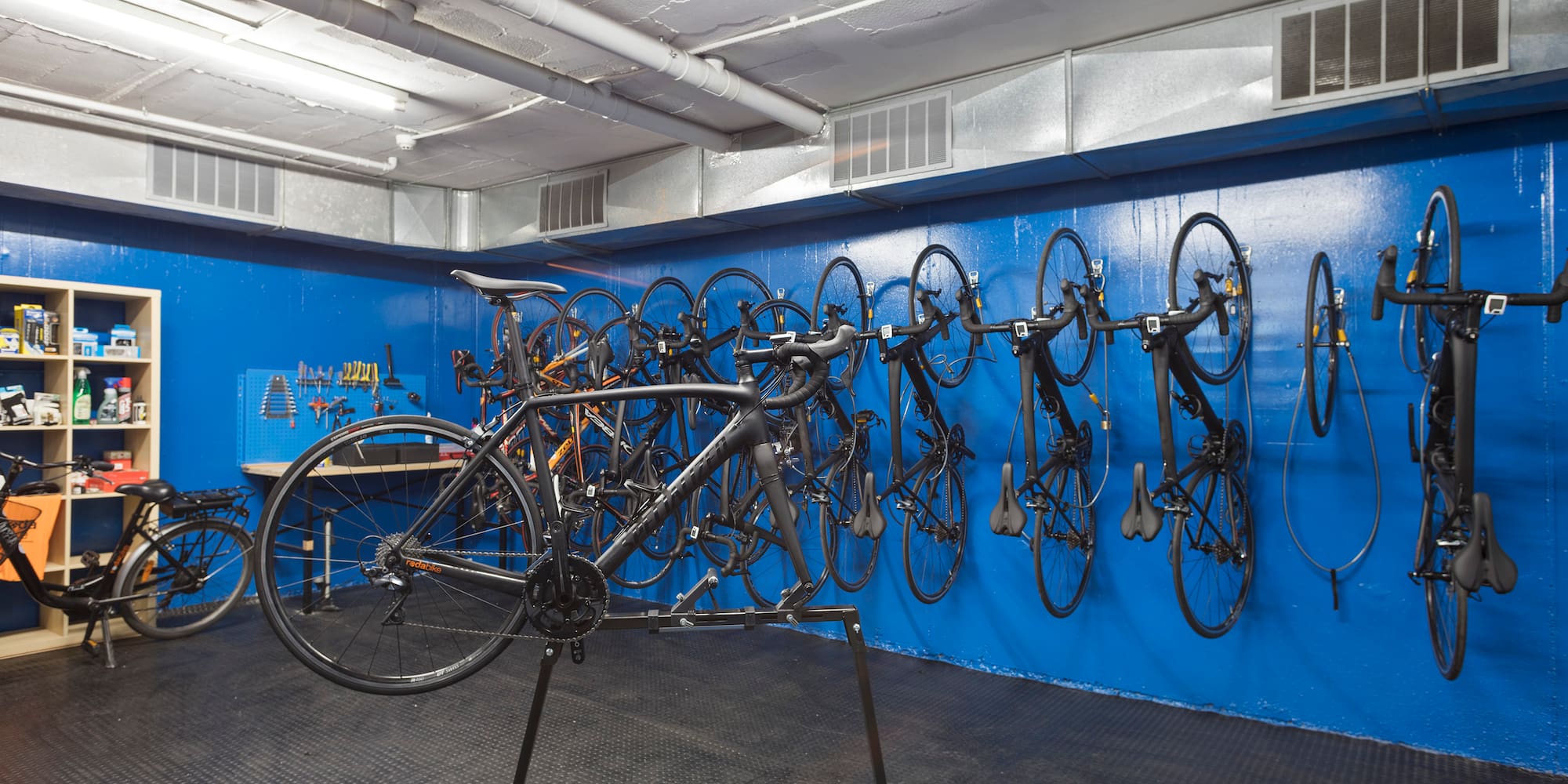 a bicycle rack with many bicycles on the wall