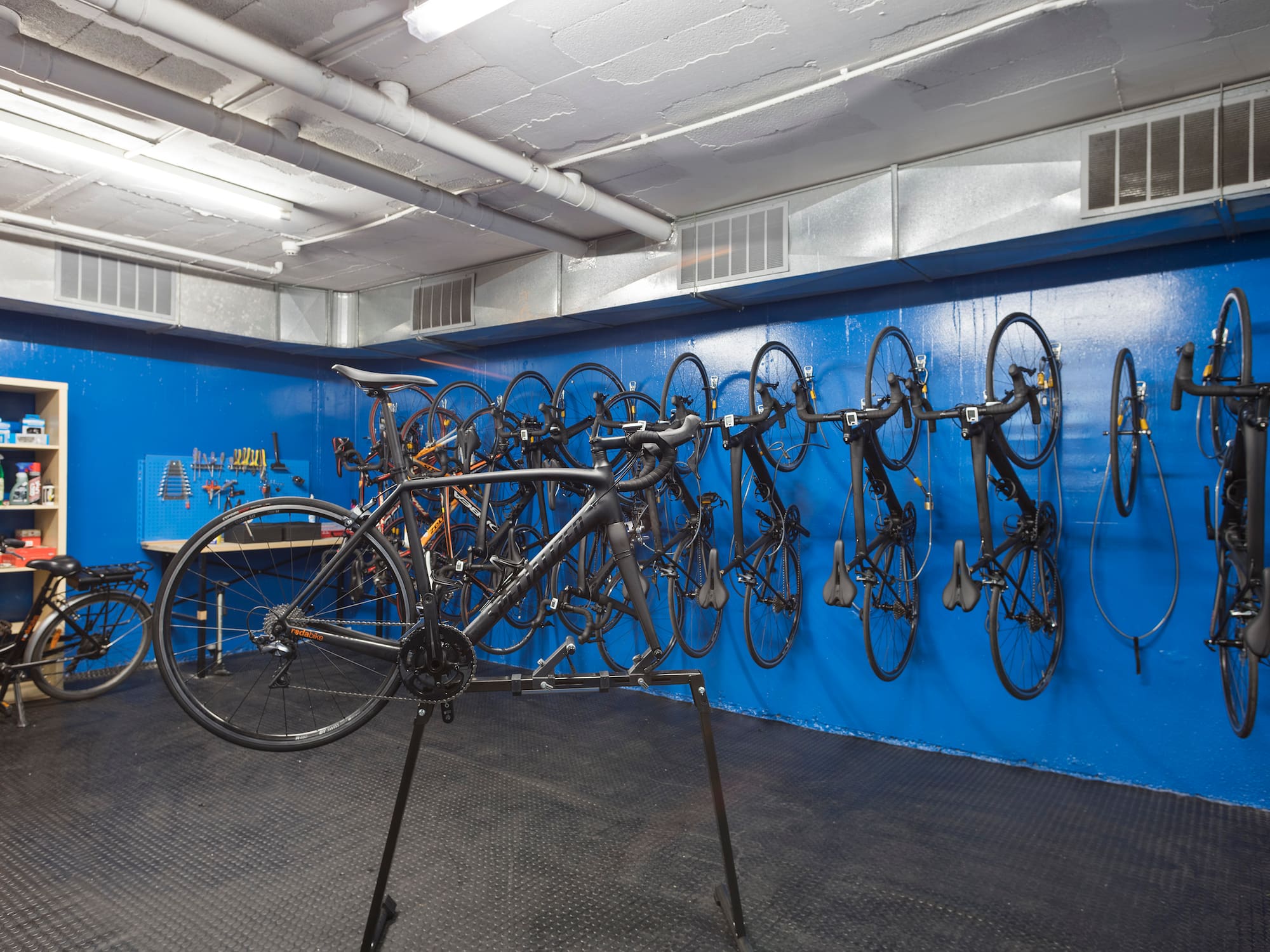 a bicycle rack with many bicycles on the wall