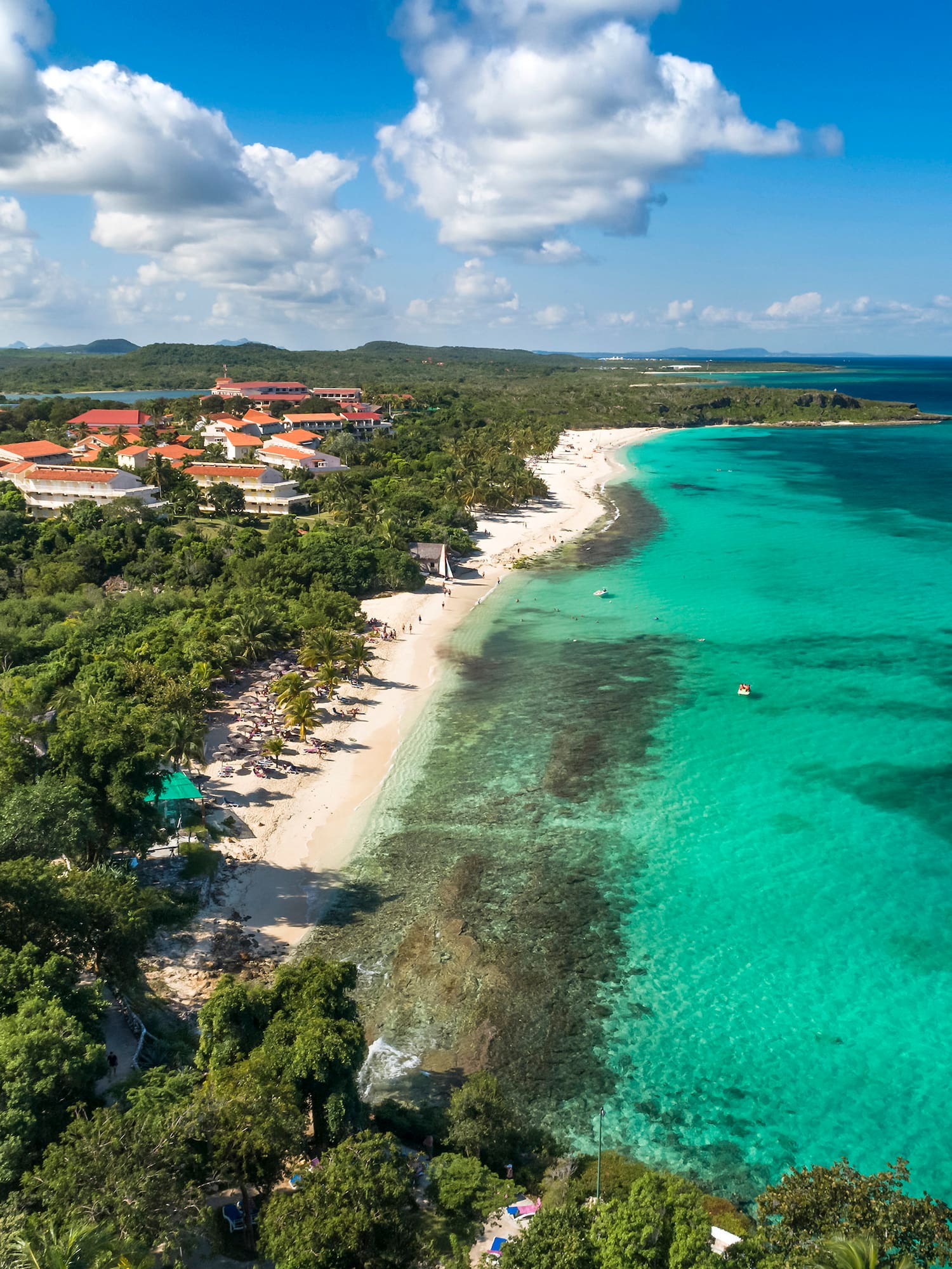 a beach with trees and buildings