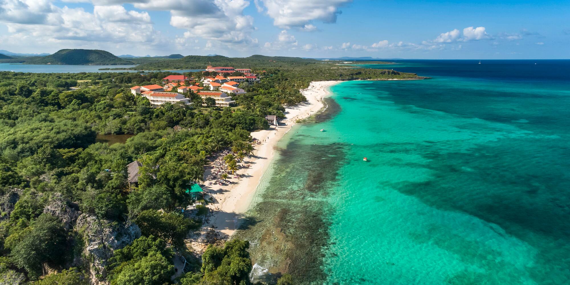 a beach with trees and buildings