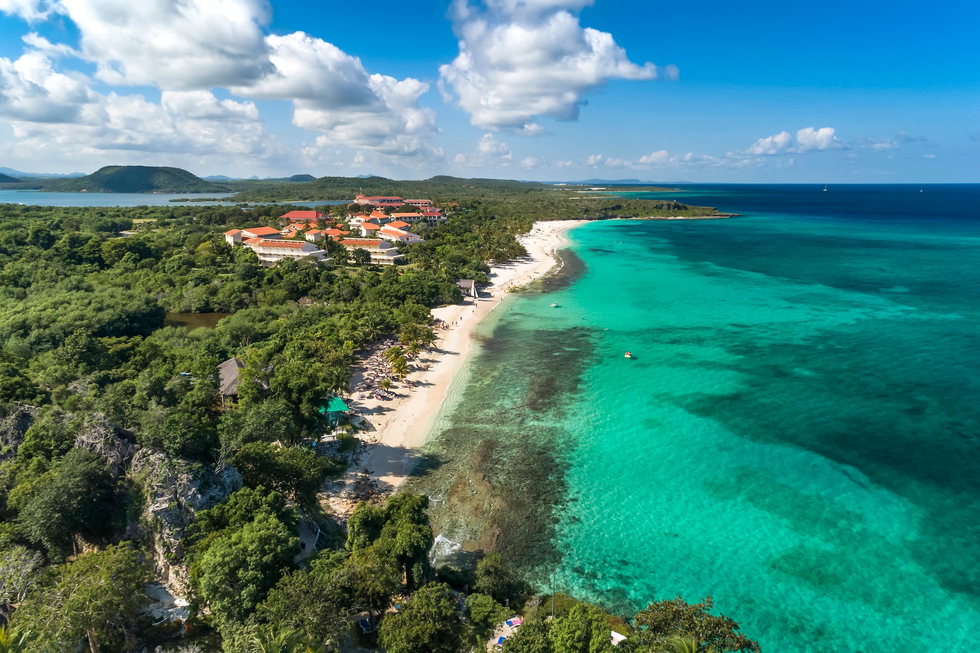 a beach with trees and buildings