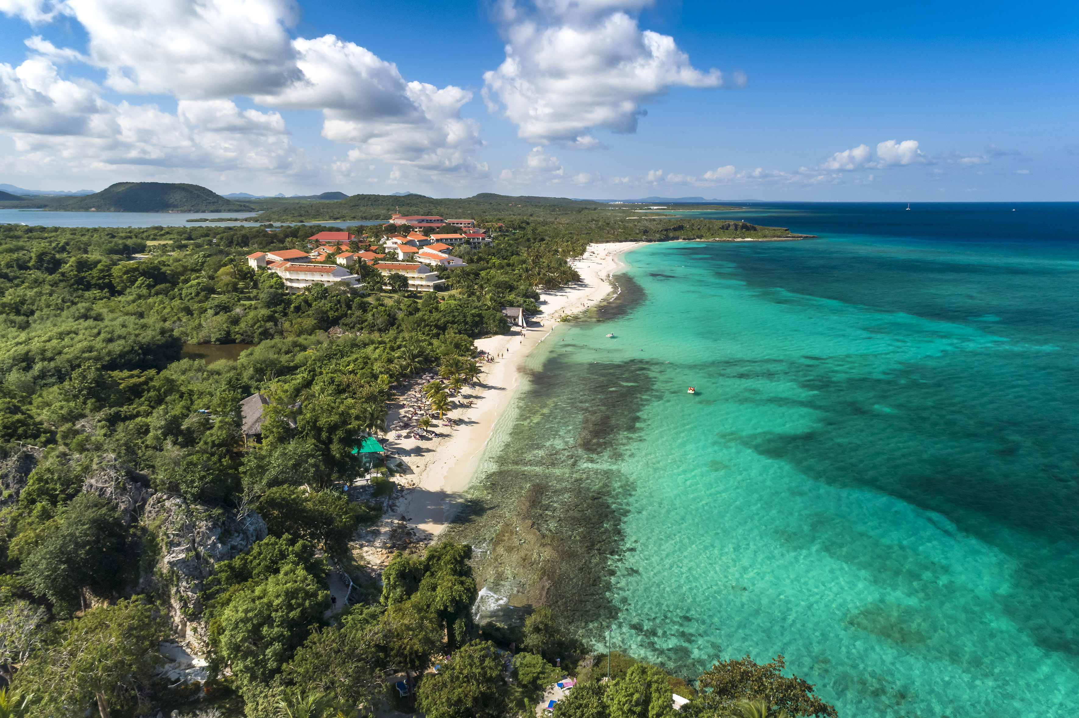a beach with trees and buildings