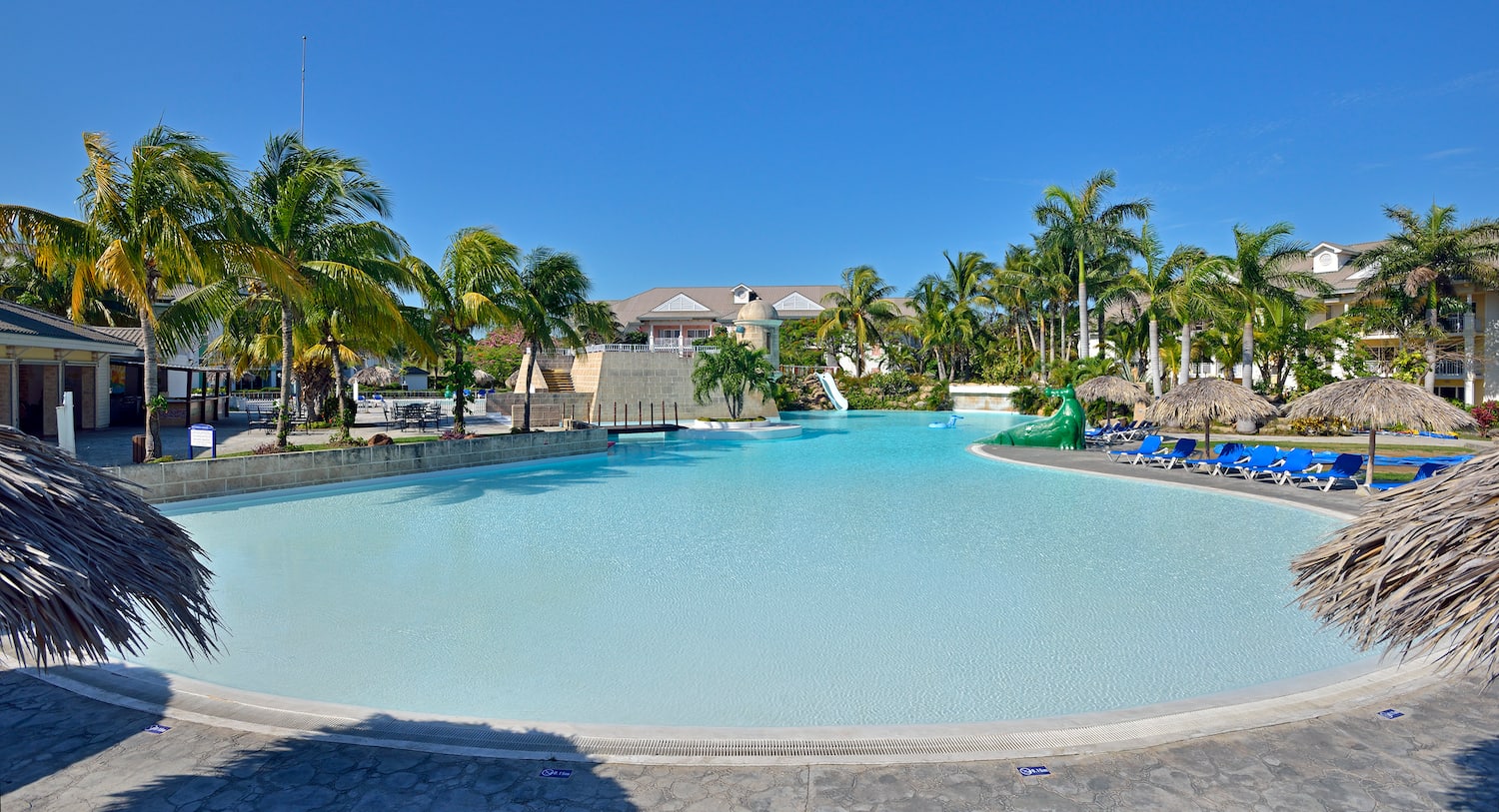 a pool with a slide and palm trees