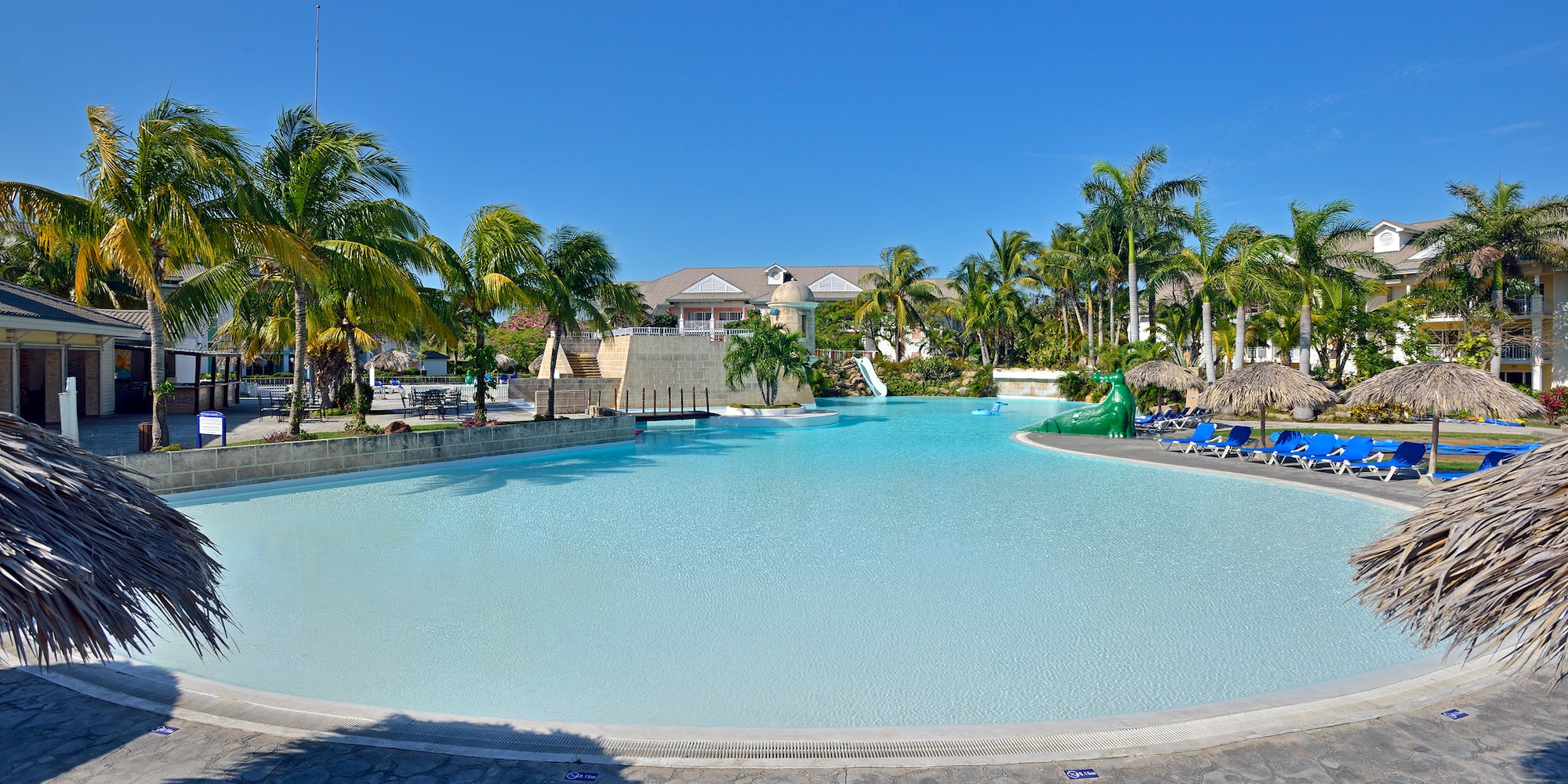 a pool with a slide and palm trees