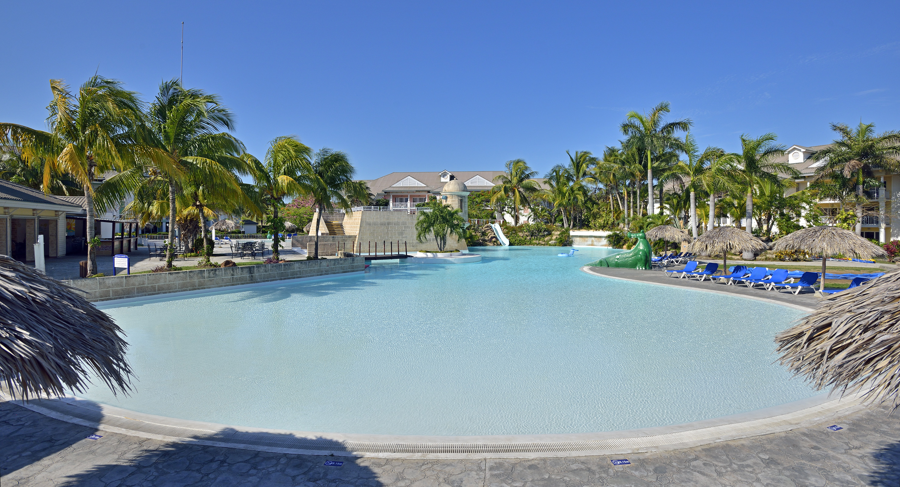 a pool with a slide and palm trees