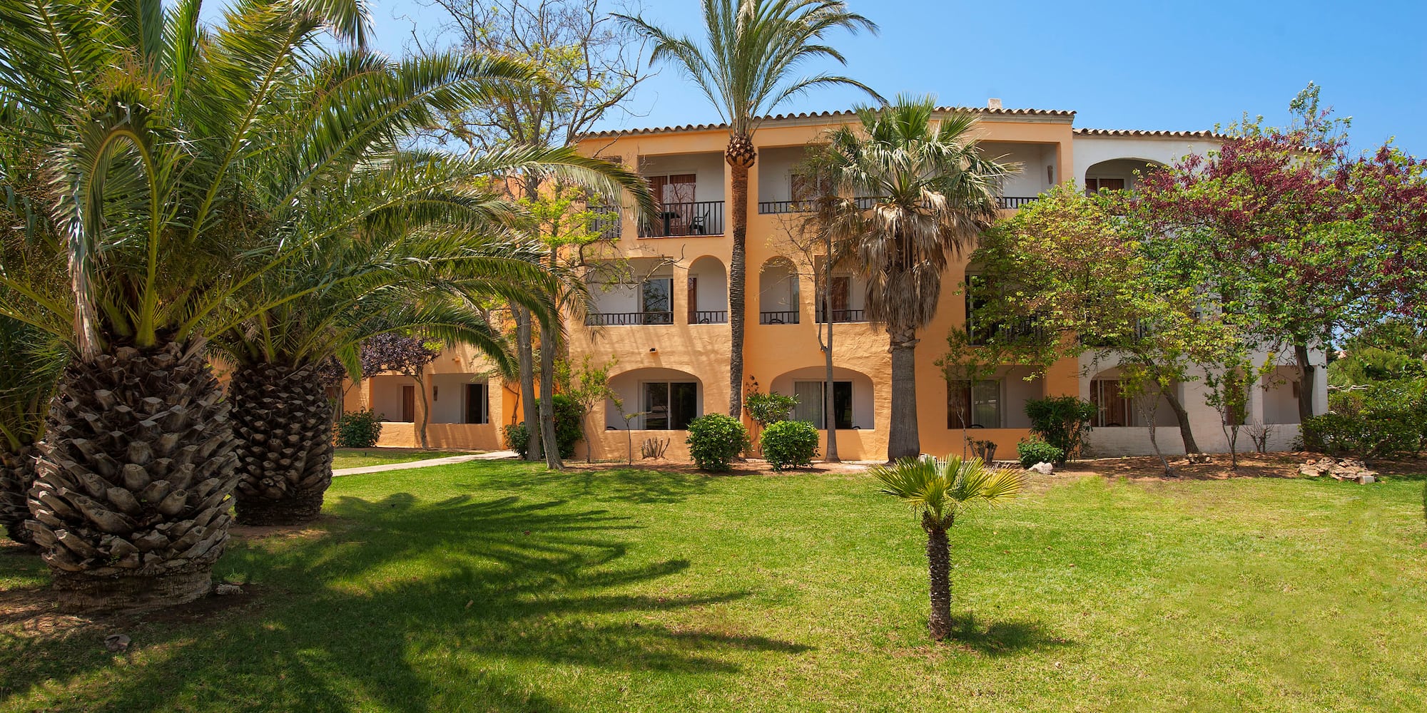 a building with palm trees and grass