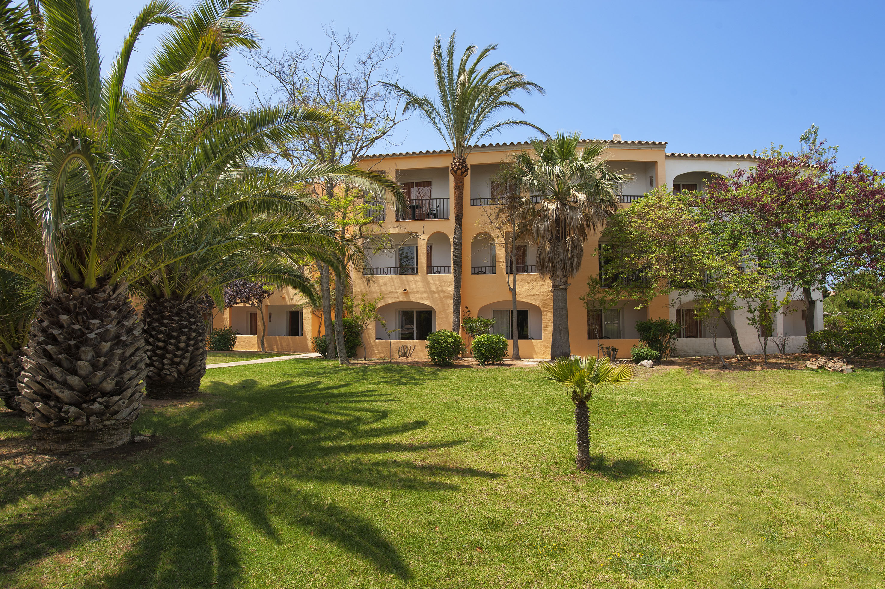 a building with palm trees and grass