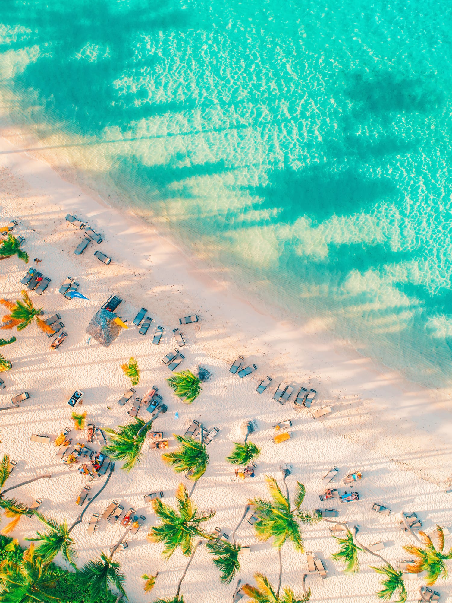 a beach with palm trees and blue water