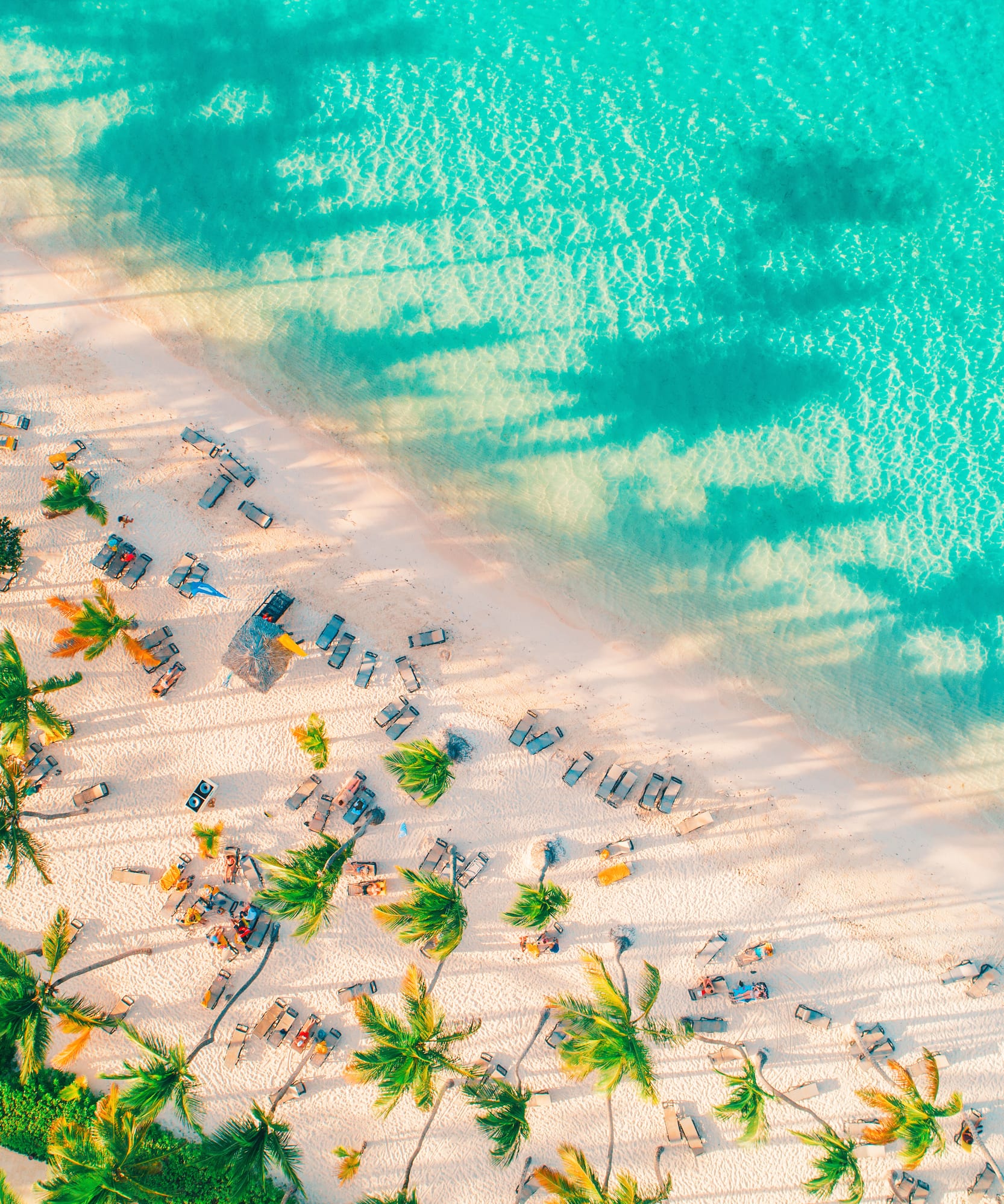 Aerial view of tropical beach with white sand, turquoise water, and palm trees.