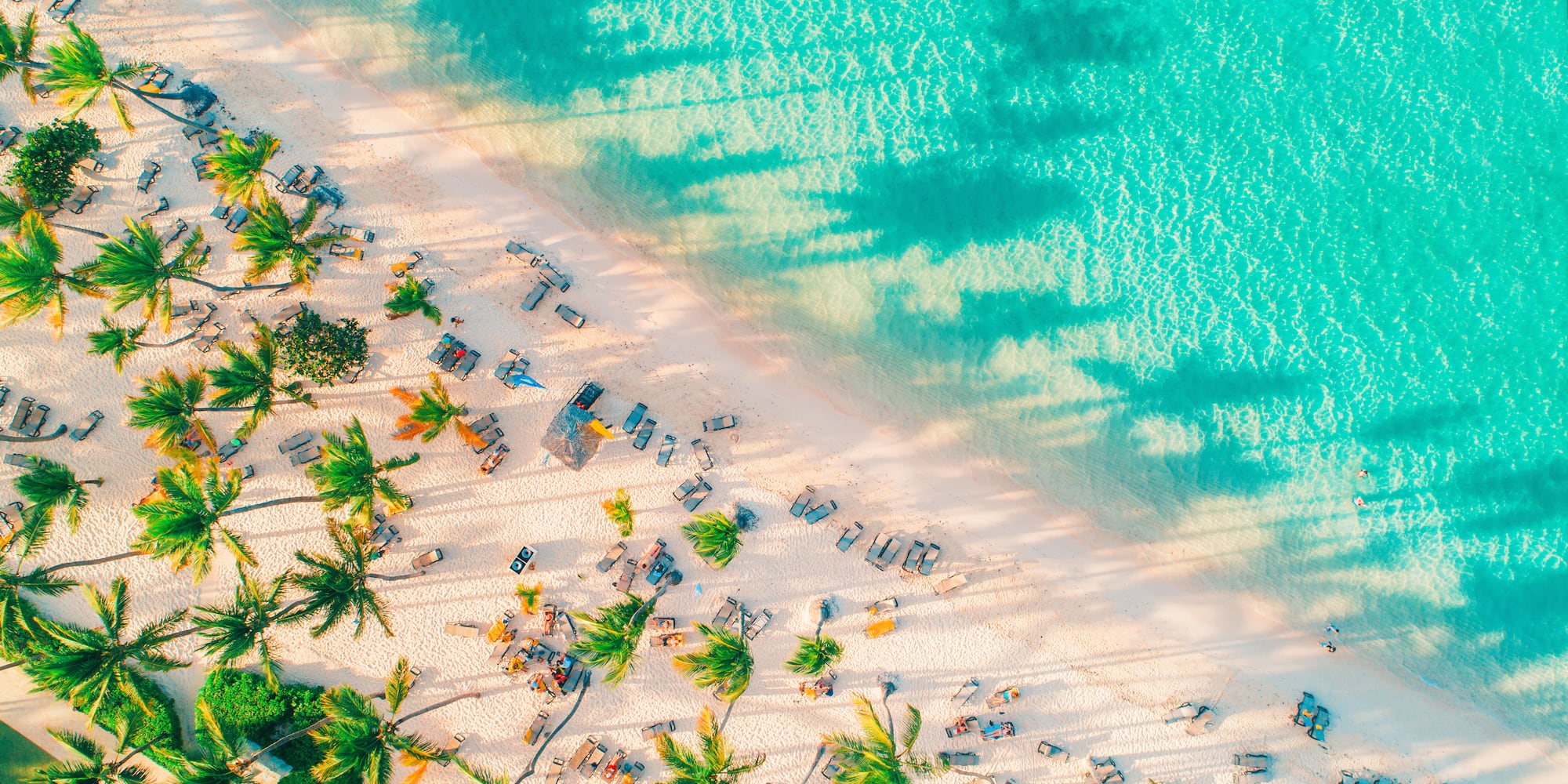 a beach with palm trees and blue water 
