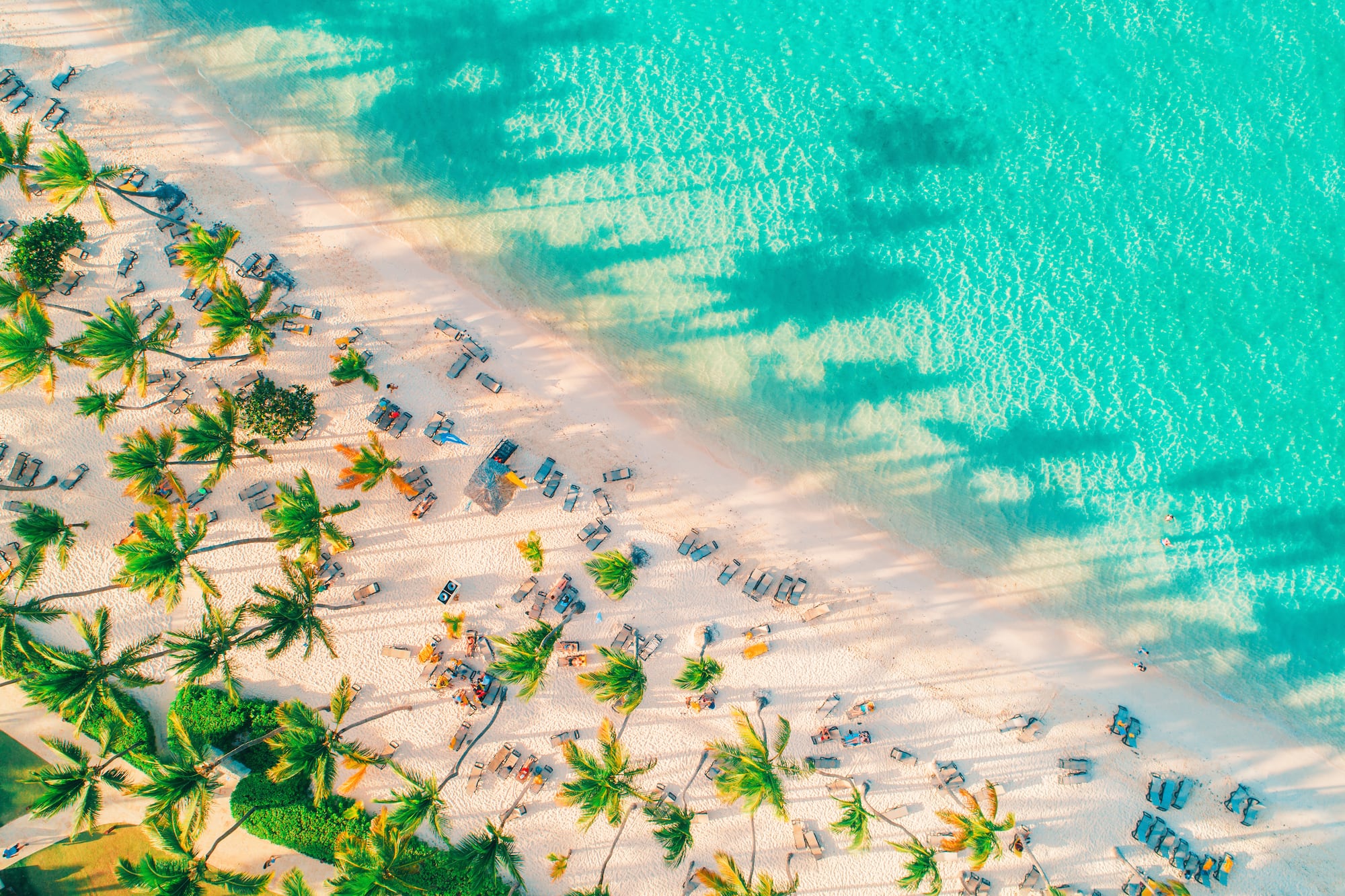 Aerial view of tropical beach with white sand, turquoise water, and palm trees.