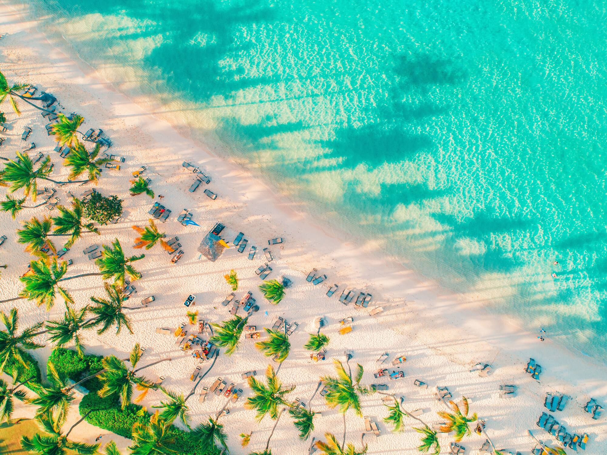 a beach with palm trees and blue water