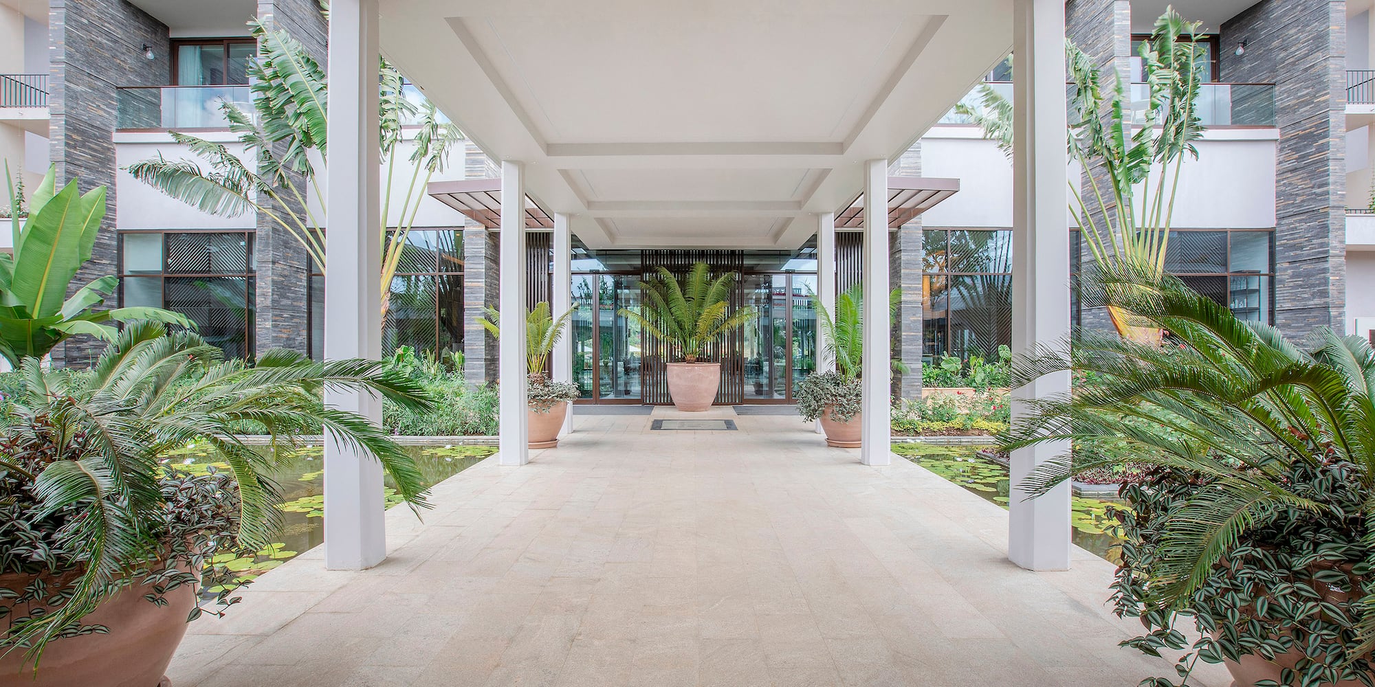 a walkway with plants in pots