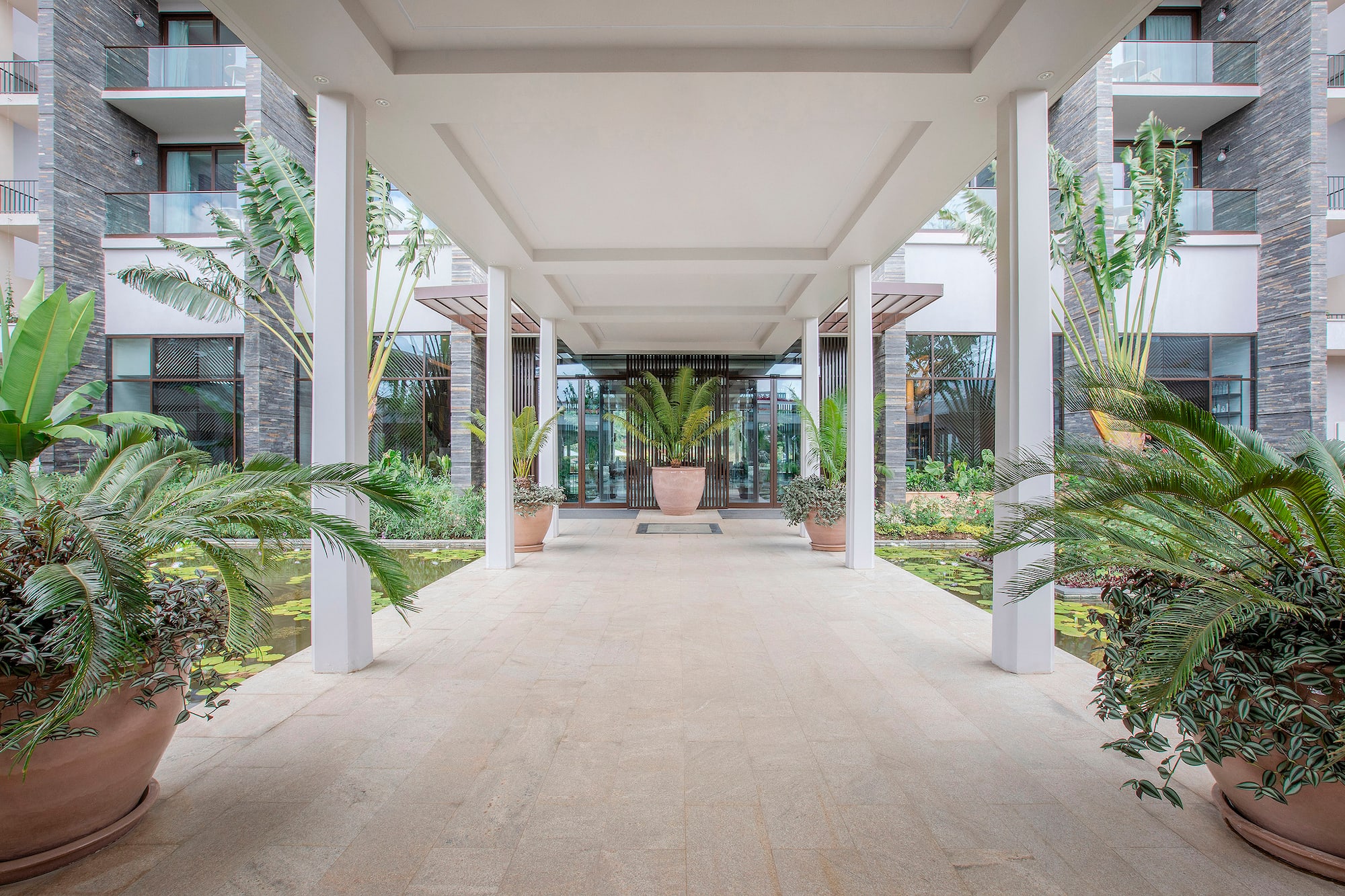Modern hotel entrance with tropical plants, covered walkway, and reflecting pools.