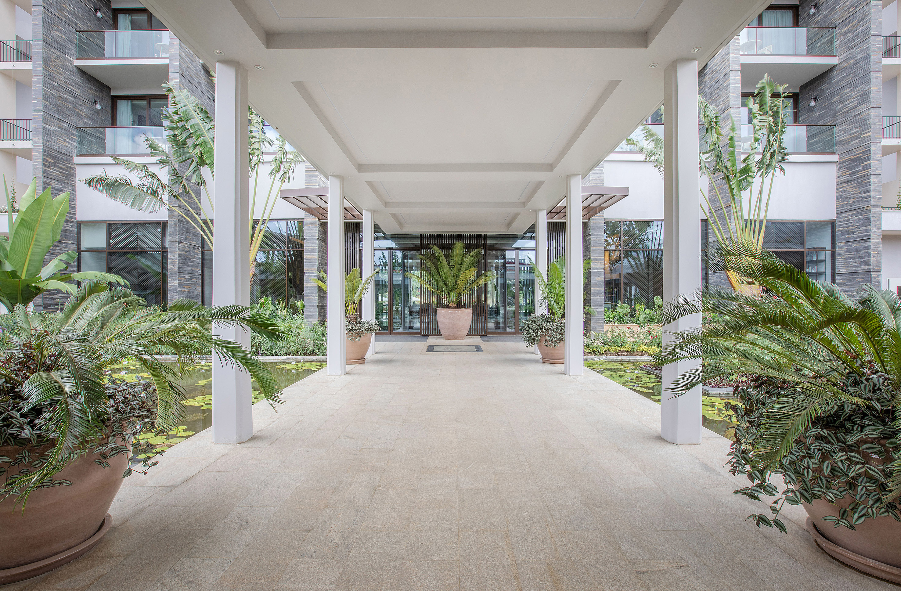 Modern hotel entrance with tropical plants, covered walkway, and reflecting pools.