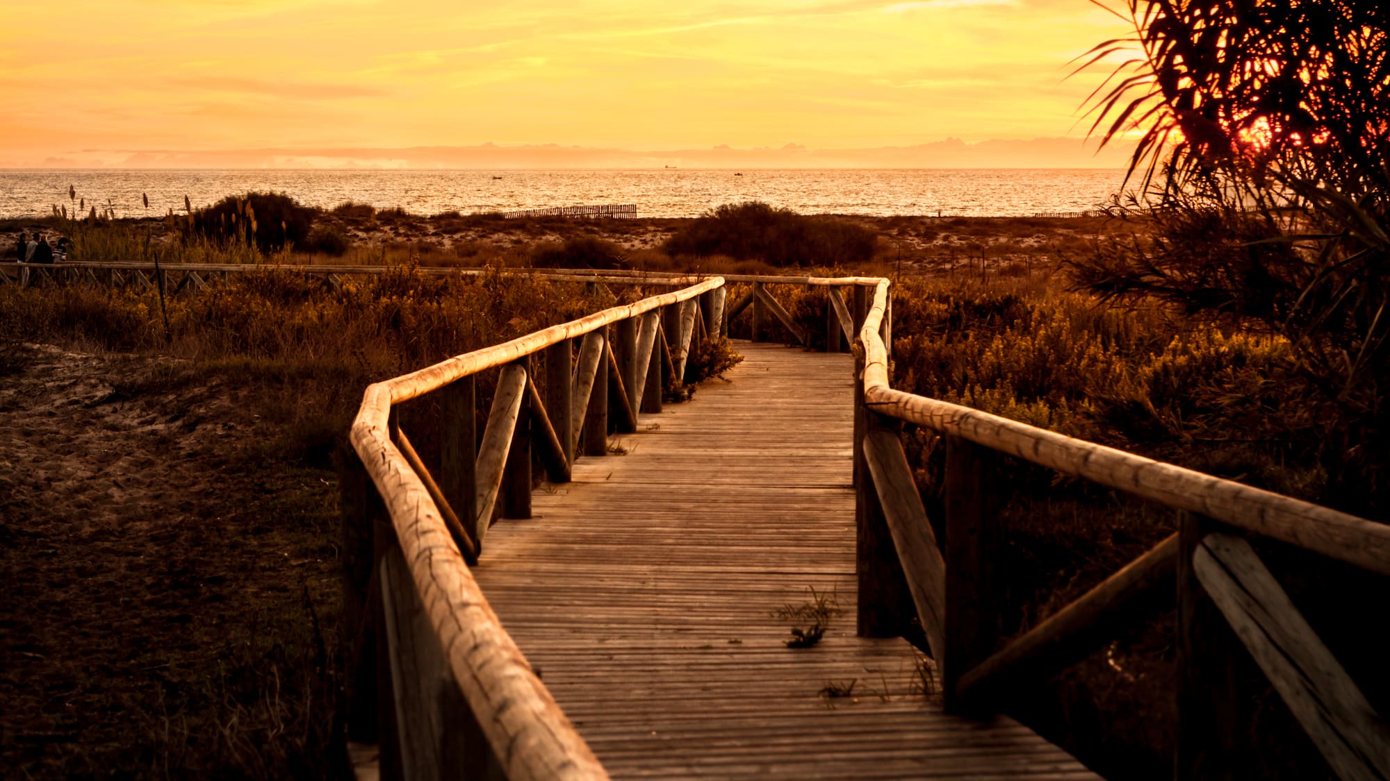 a wooden walkway leading to a beach