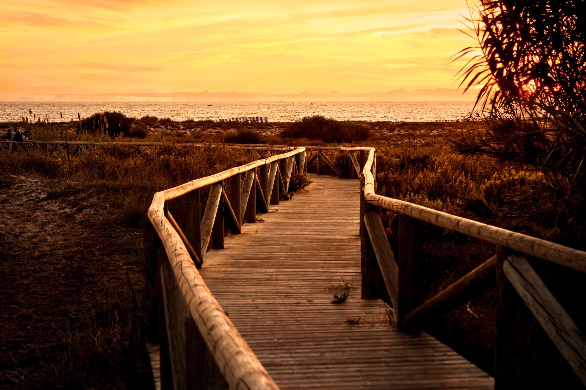 a wooden walkway leading to a beach