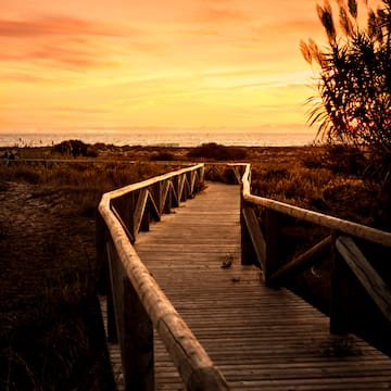 a wooden walkway leading to a beach