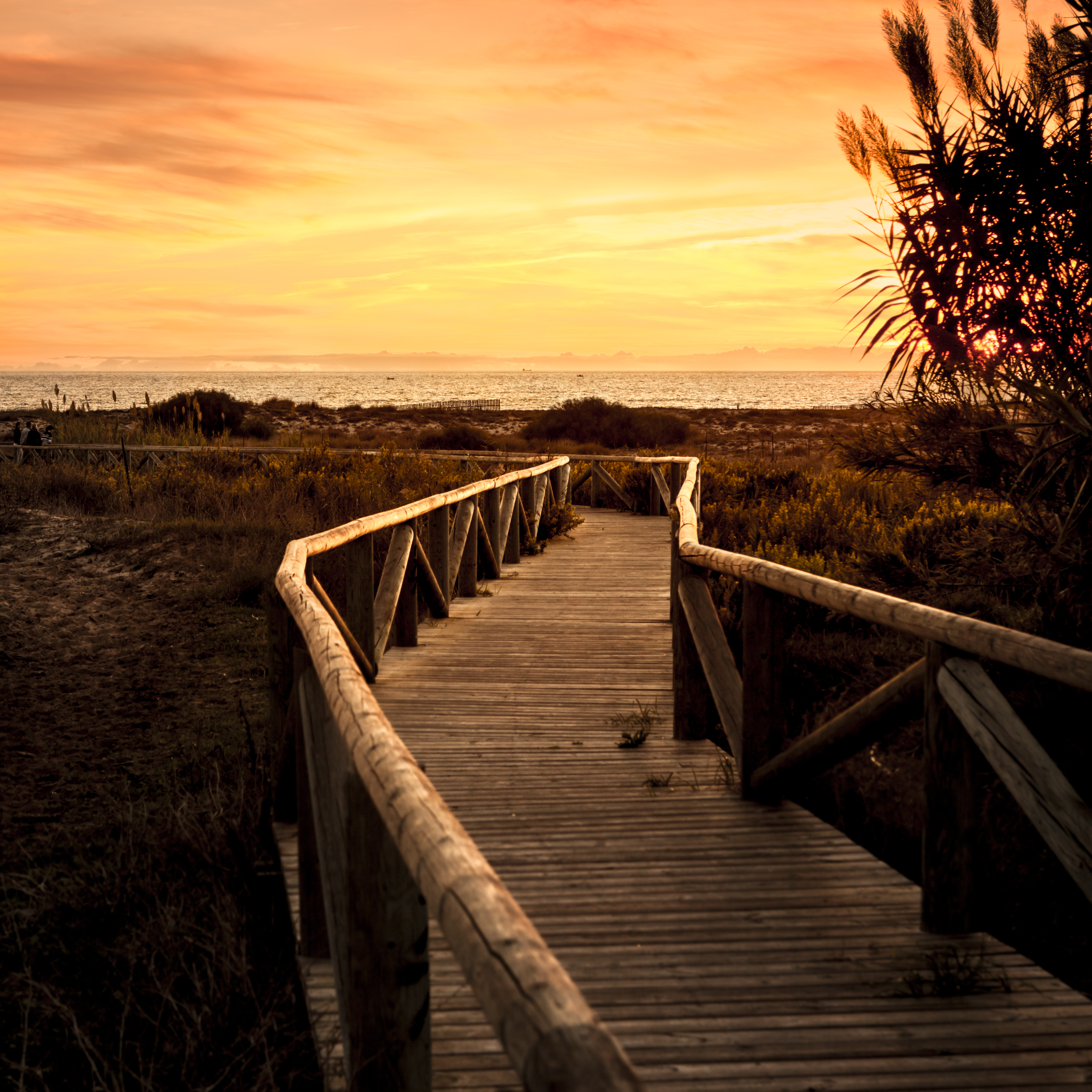 Pasarela de madera en dunas costeras al atardecer, cielo naranja y mar.