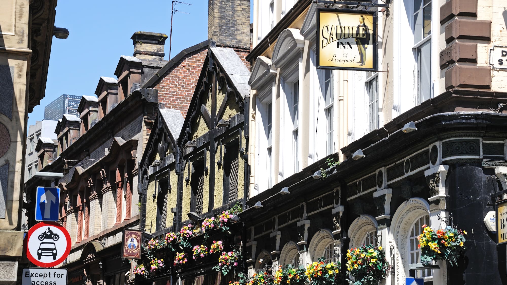 a row of buildings with flowers on the side