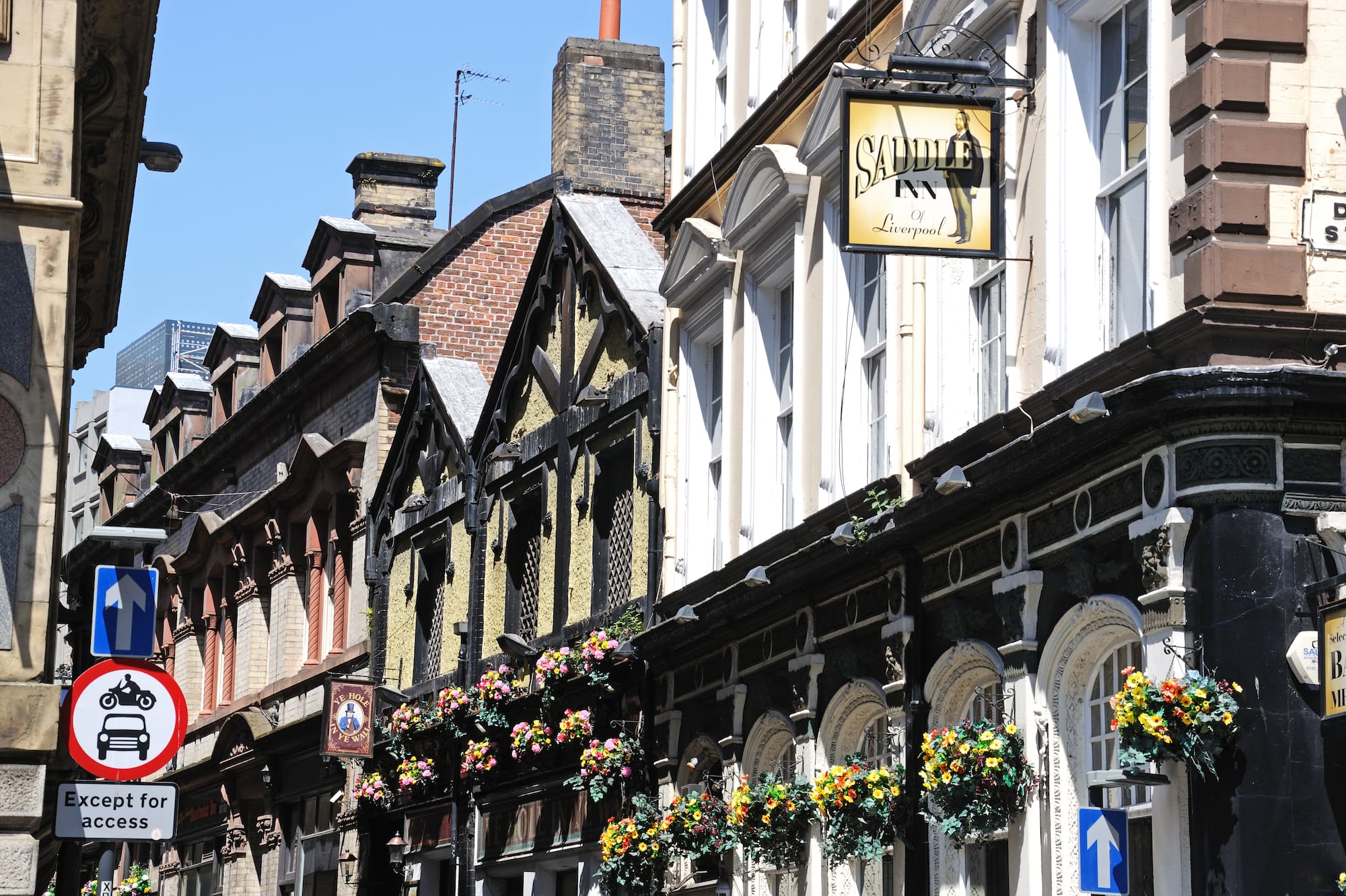a row of buildings with flowers on the side