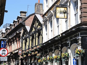 a row of buildings with flowers on the side