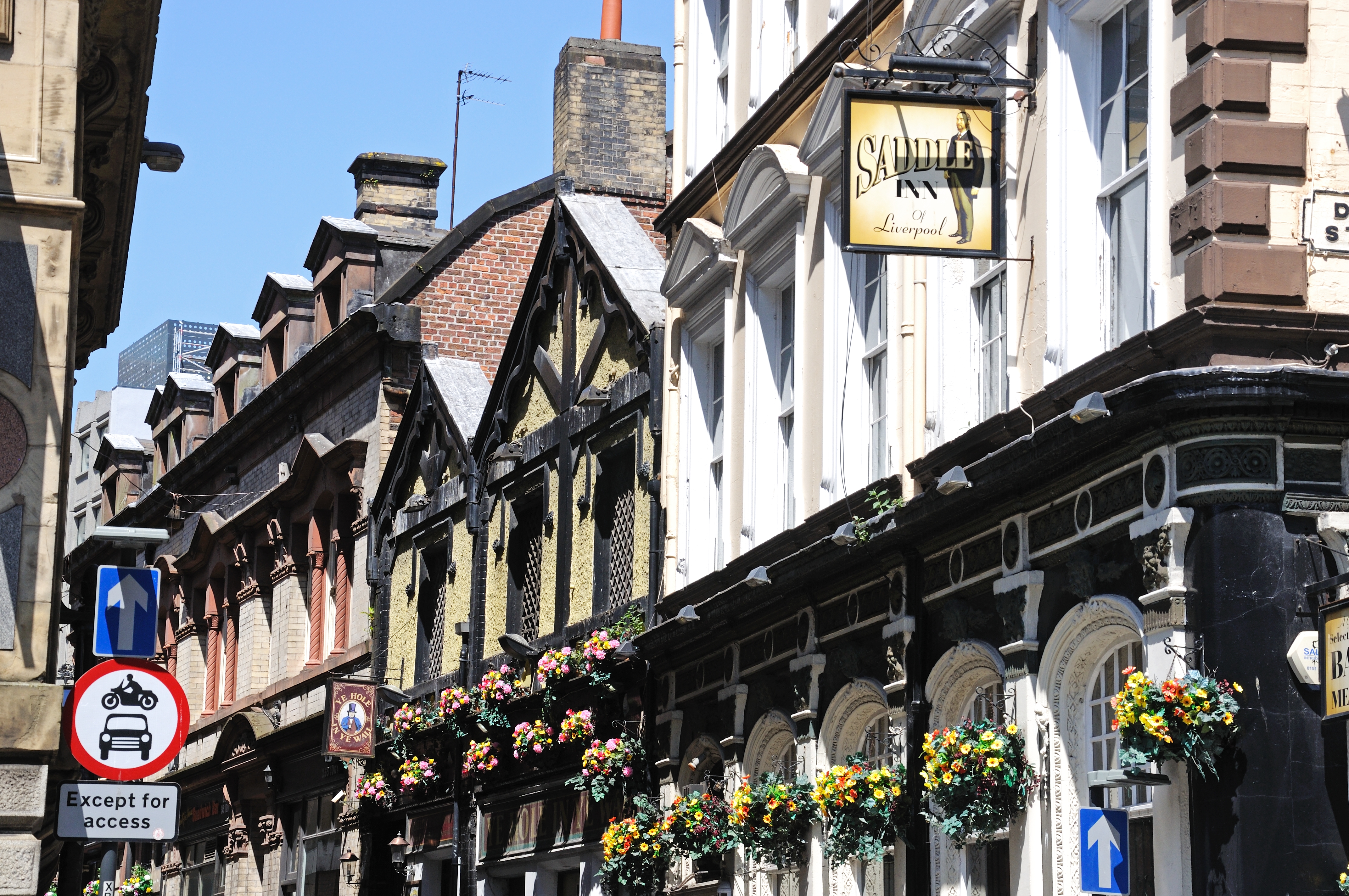 a row of buildings with flowers on the side