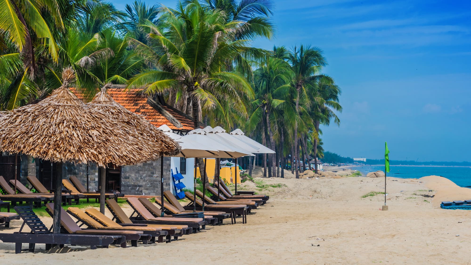 a row of lounge chairs and umbrellas on a beach