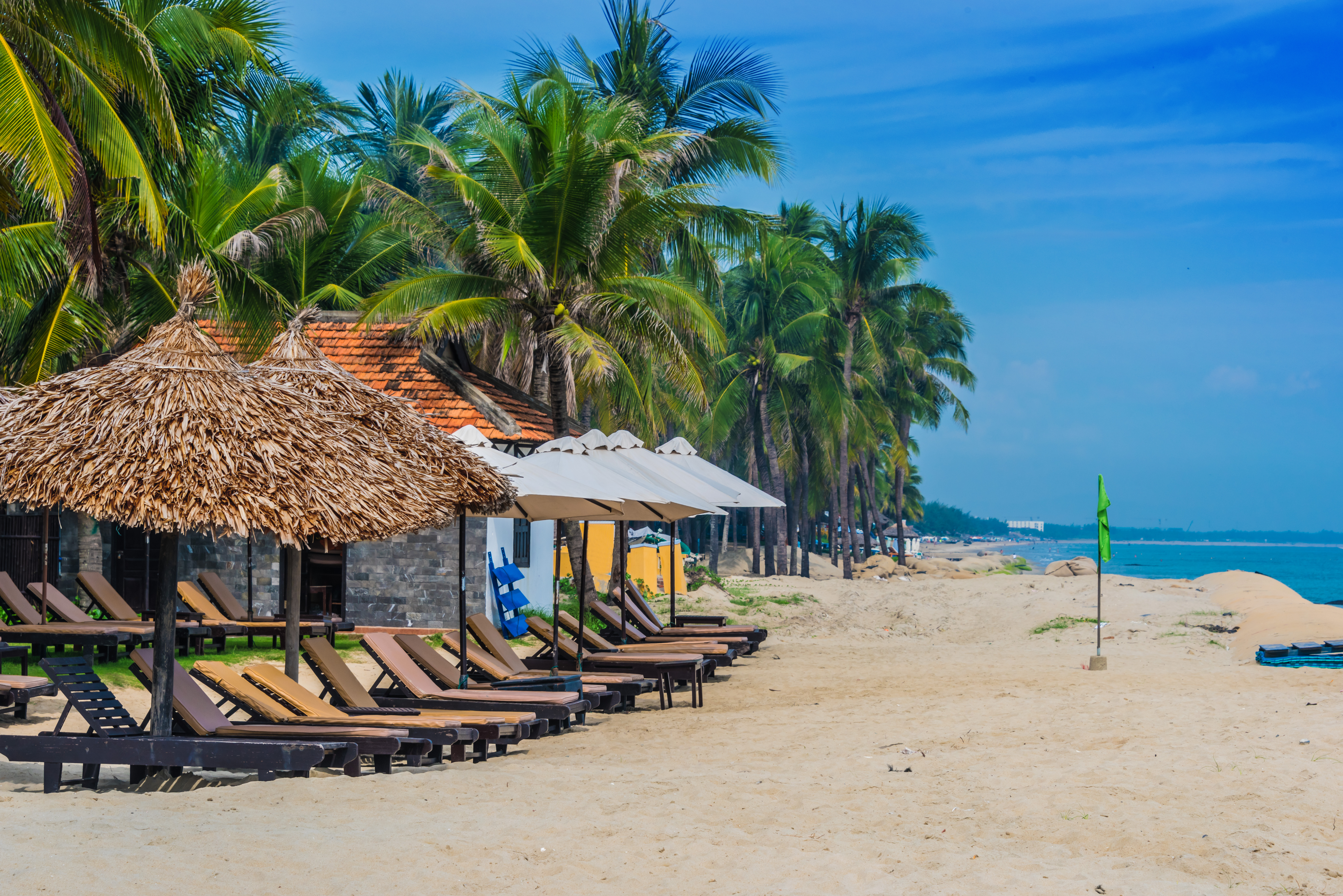 a row of lounge chairs and umbrellas on a beach