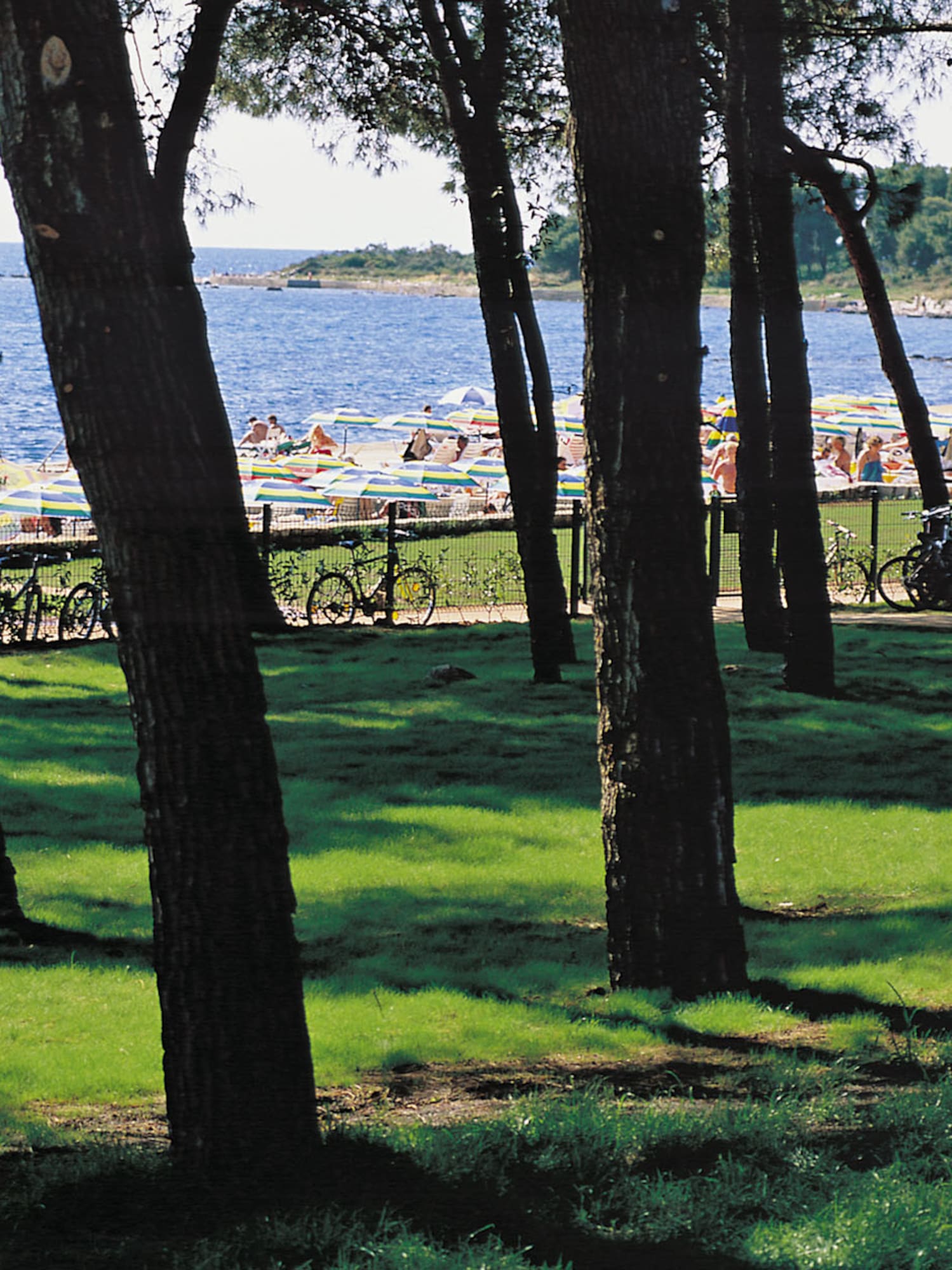 a group of people walking on a beach