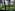 a group of people walking on a beach