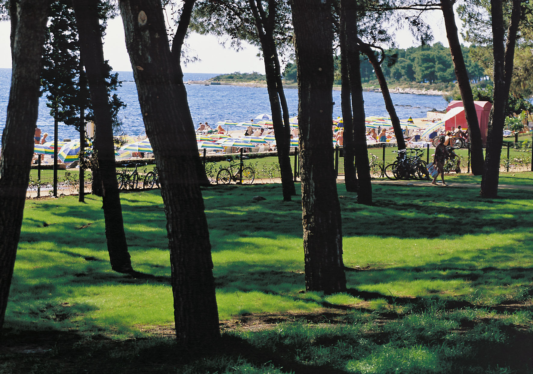 a group of people walking on a beach