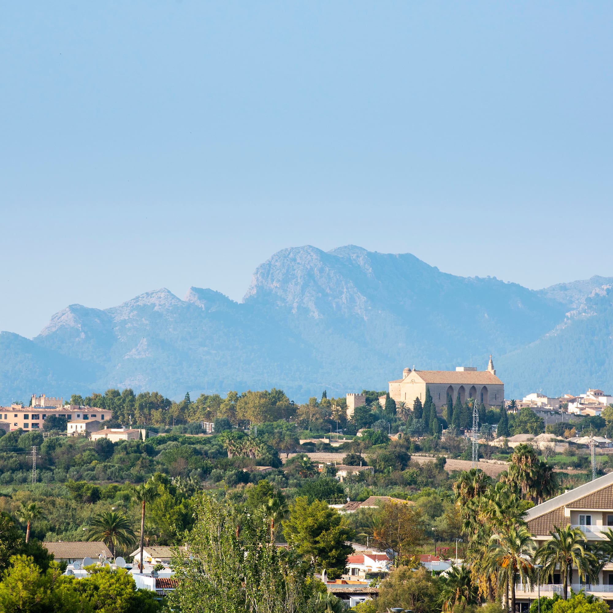 a landscape of a town with trees and mountains in the background