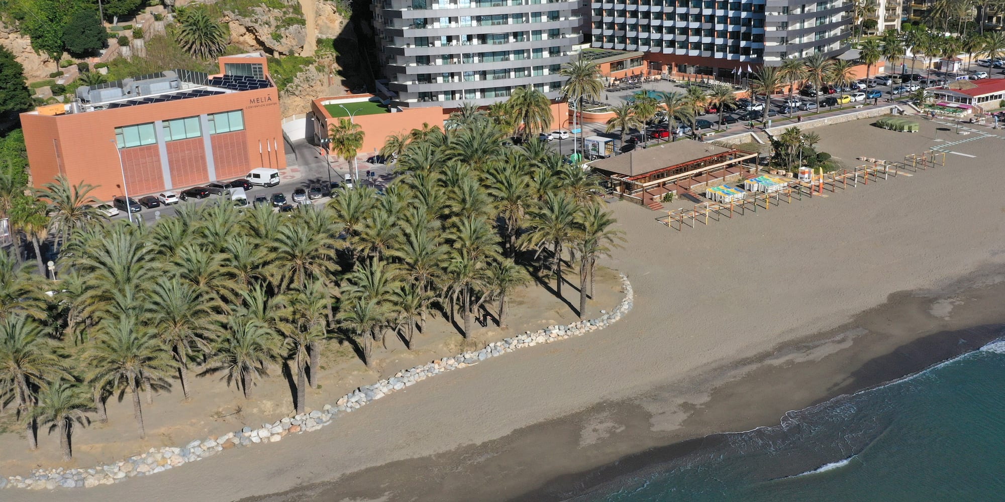 a beach with palm trees and buildings