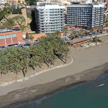 a beach with palm trees and buildings