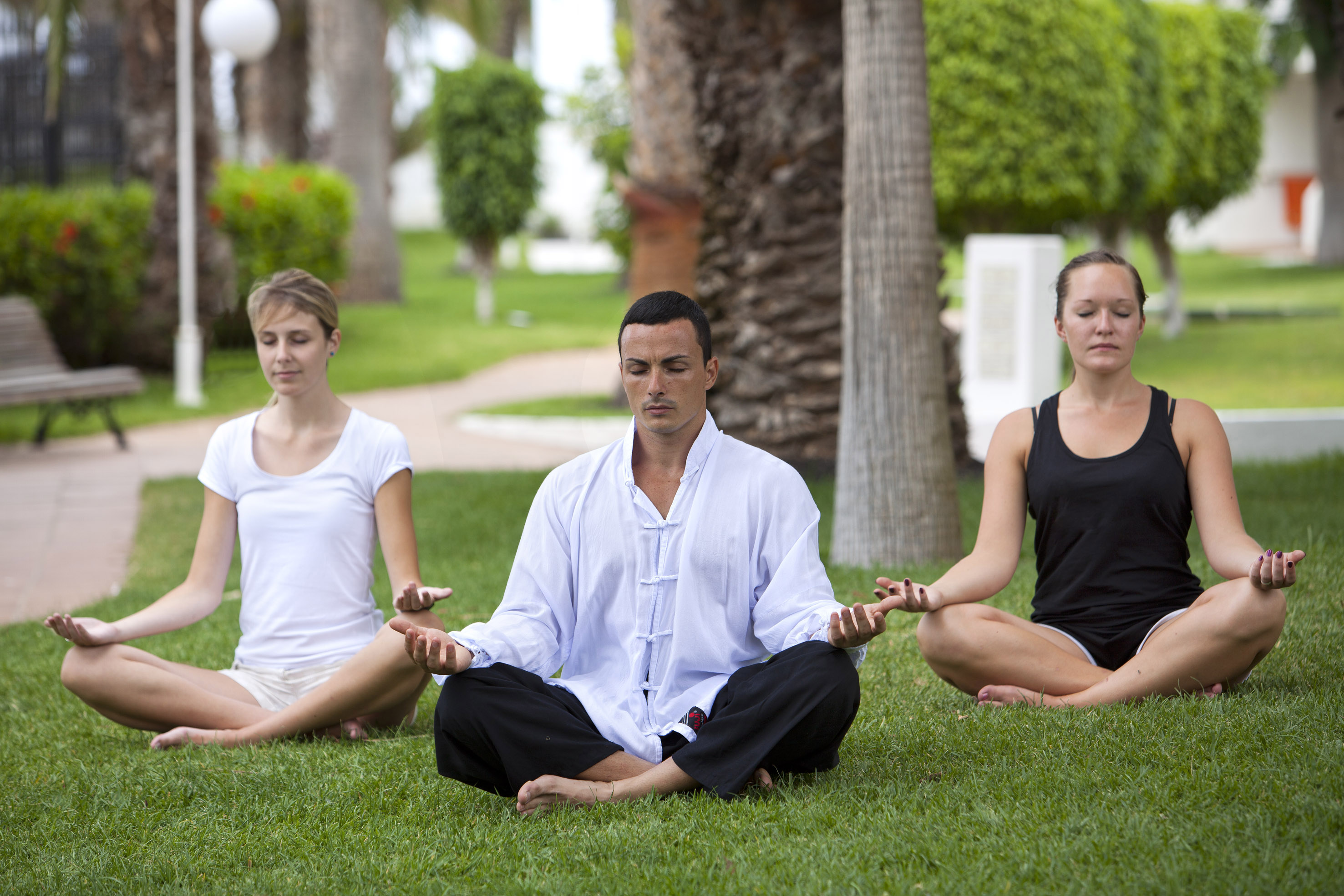 a group of people meditating in the grass