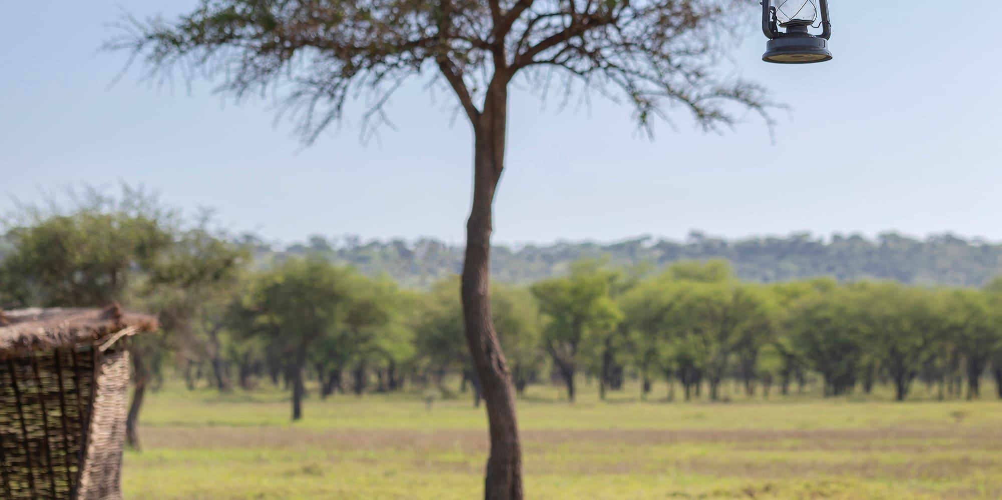 a table set for a dinner party