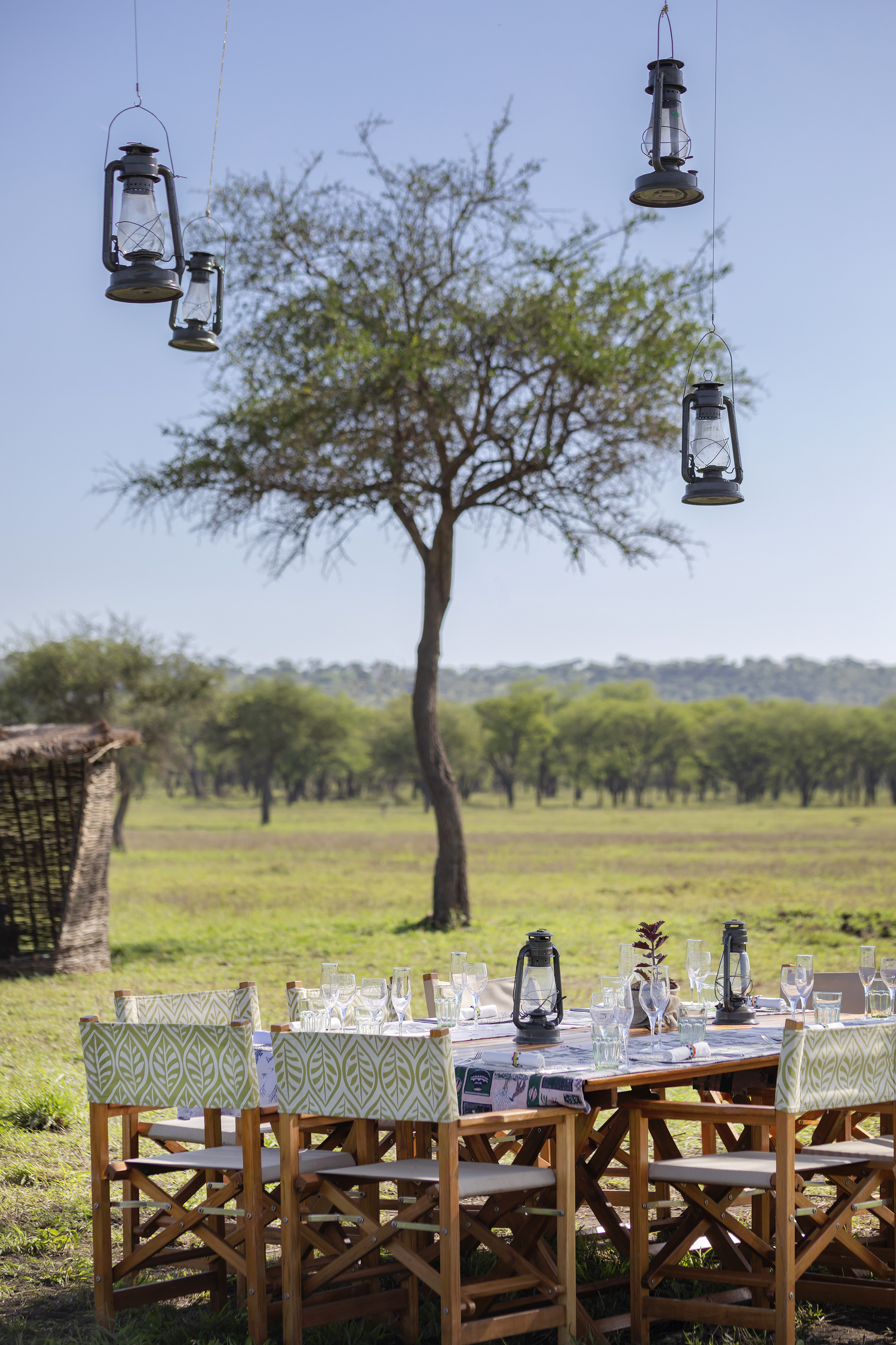 Elegant outdoor safari dinner table with lanterns, chairs, and acacia trees.