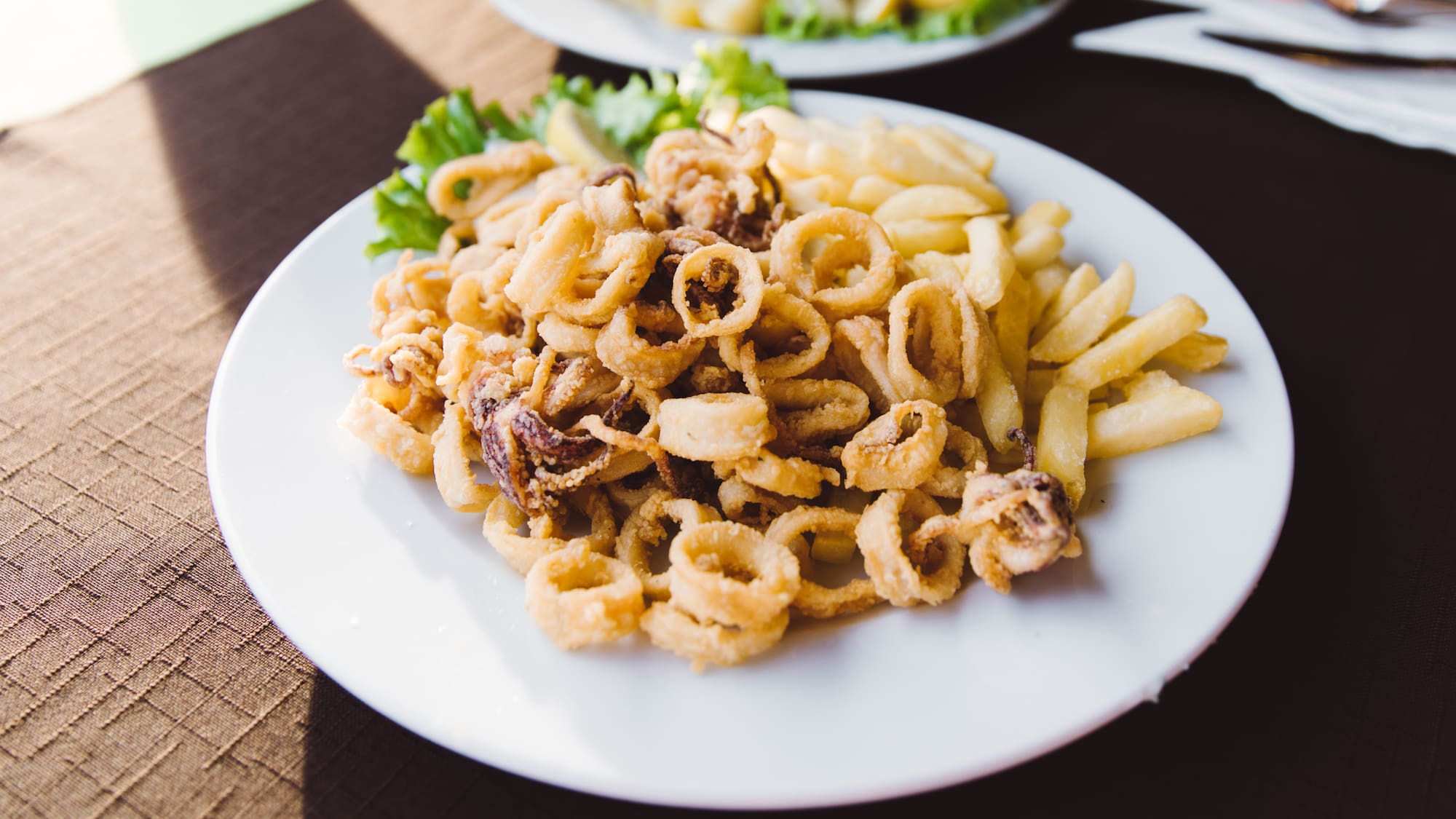 a plate of fried food
