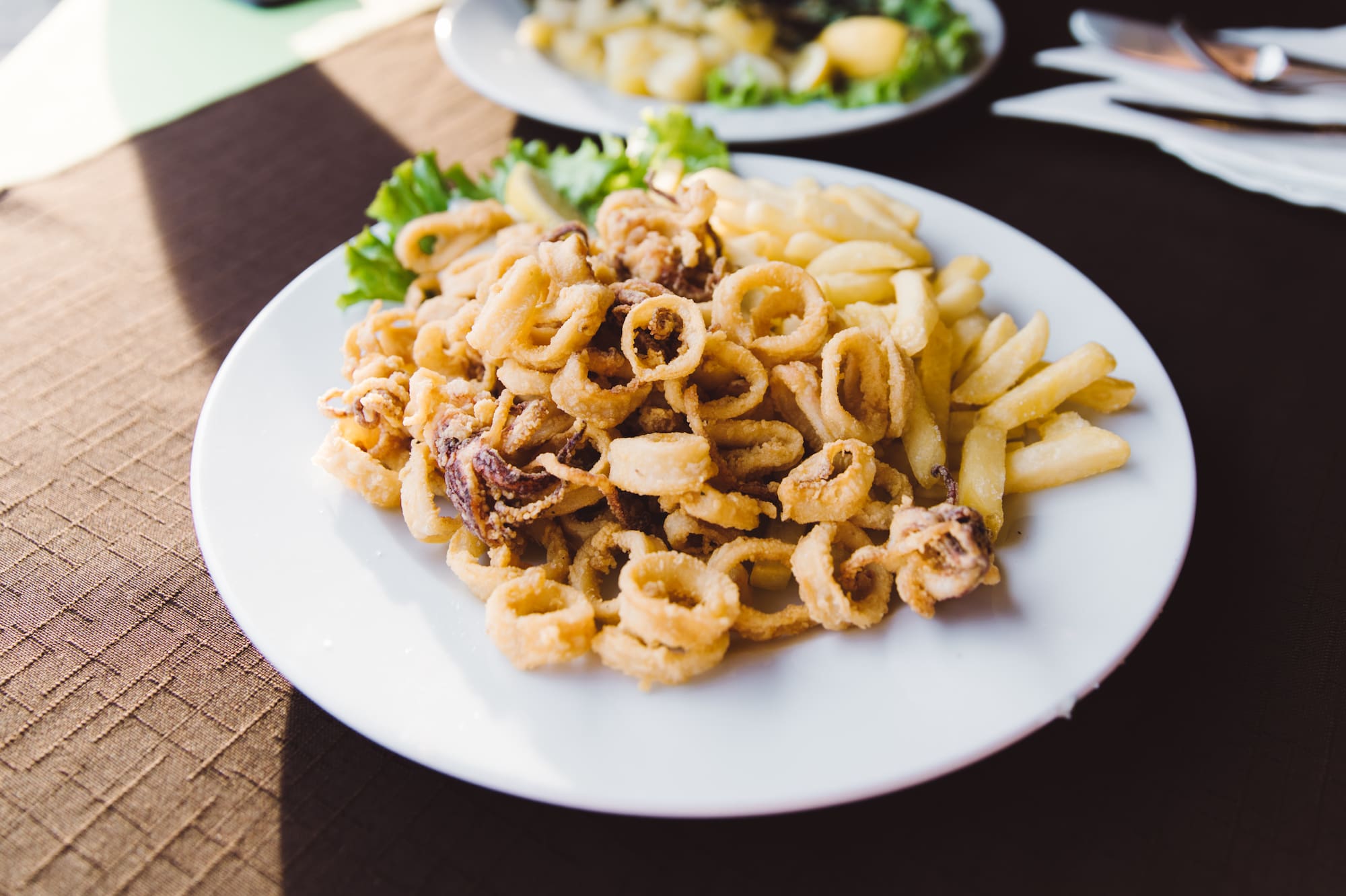 a plate of fried food