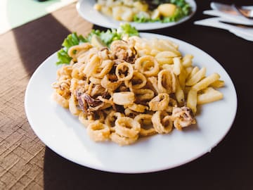 a plate of fried food