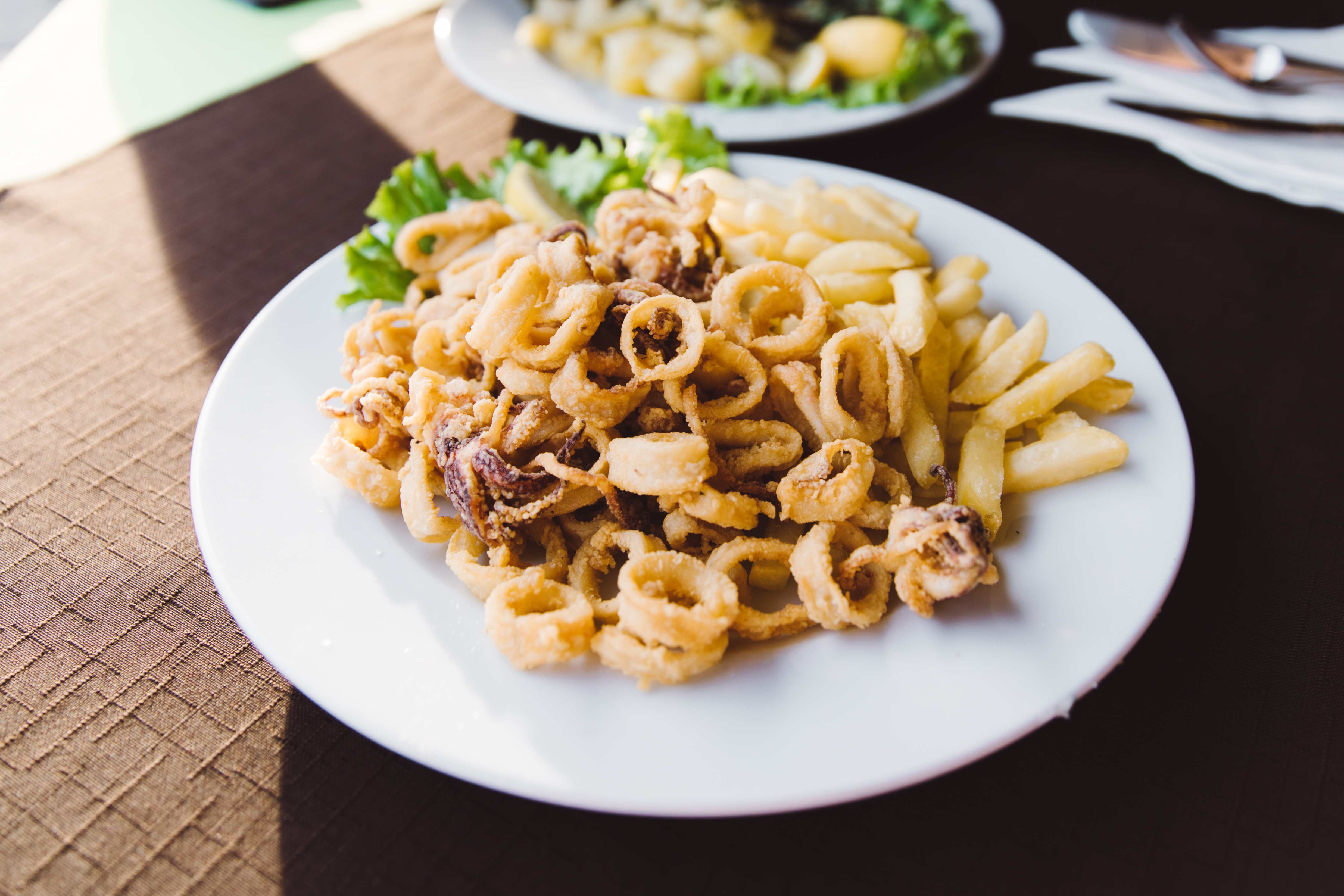 a plate of fried food
