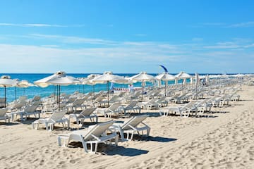 a beach with chairs and umbrellas