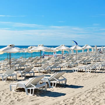 a beach with chairs and umbrellas