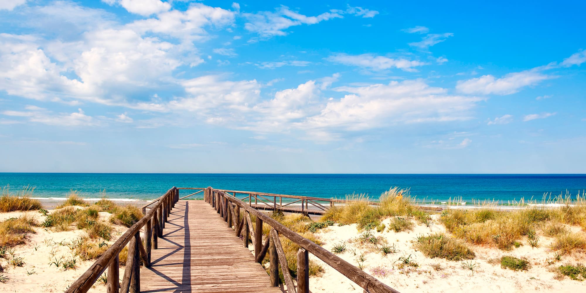 a wooden walkway leading to the ocean