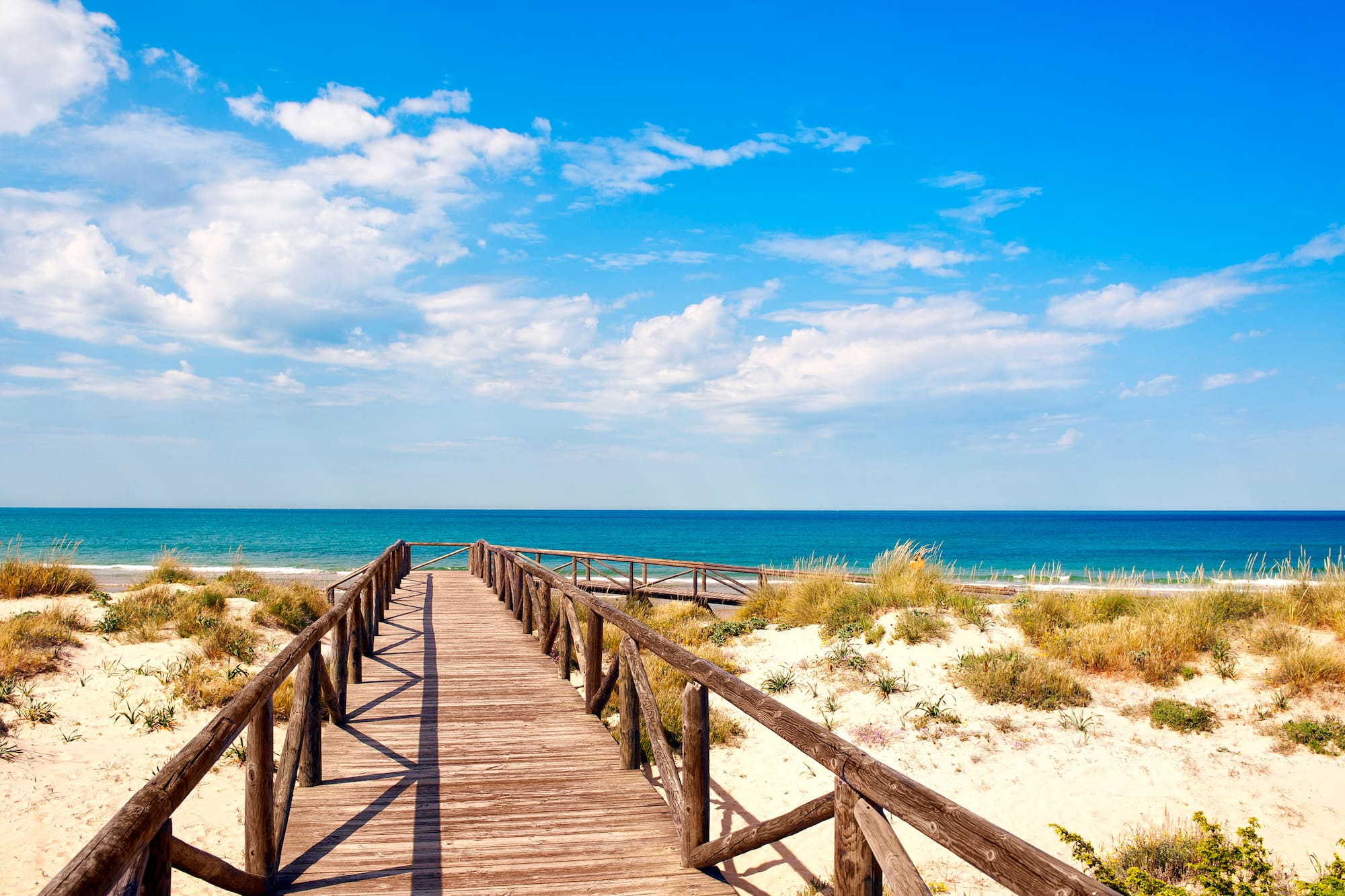 a wooden walkway leading to the ocean