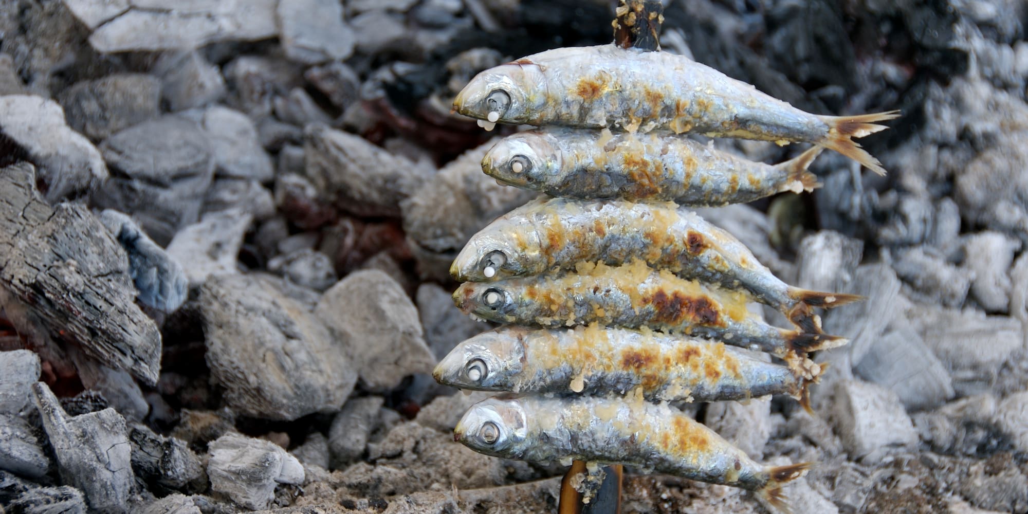 a group of fish on a stick